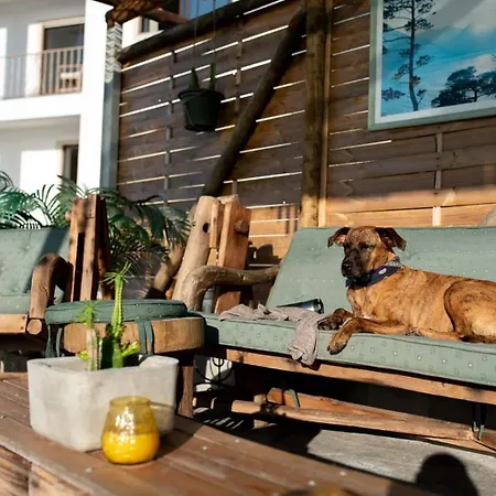 Intuitiva - Relaxation And Mindful Homestay szállás *