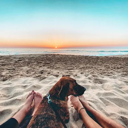 Intuitiva - Relaxation And Mindful *
