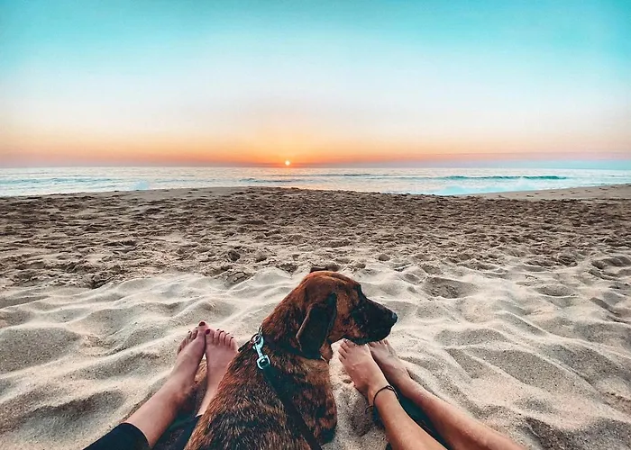 Intuitiva - Relaxation&mindful *